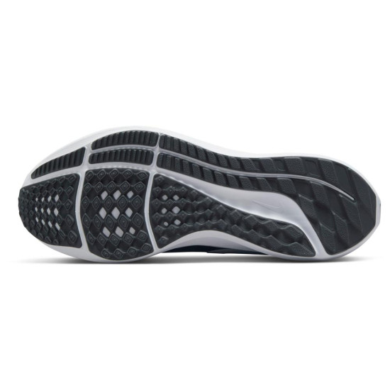 Nike Air Zoom Pegasus 39